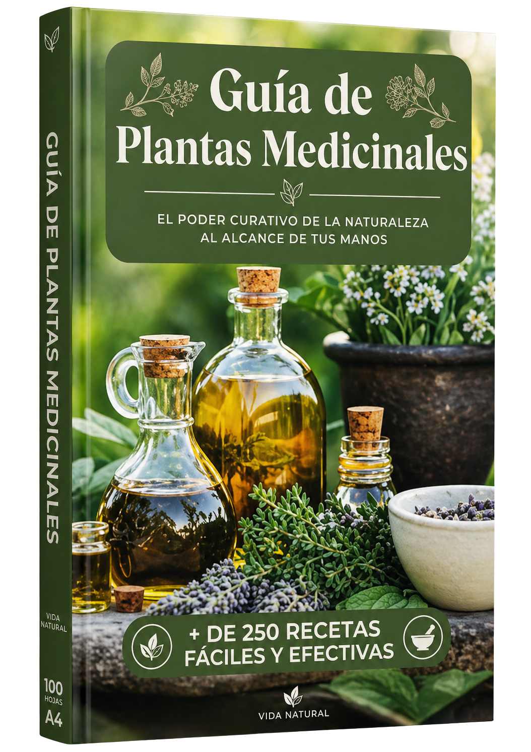 Plantas Medicinales para tu Bienestar